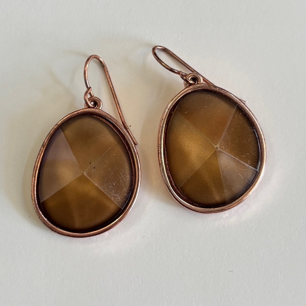 Women’s Brown Stone Drop Earrings - Unbranded